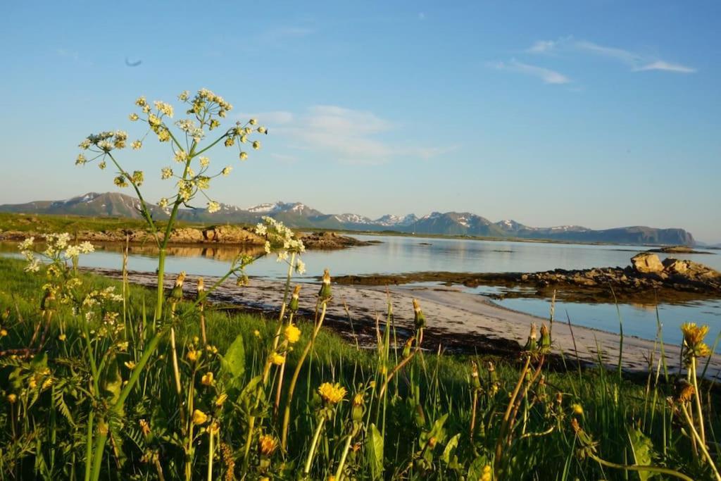 Sjarmerende Hus Med Orkesterplass Til Hav Og Fjell Stave ภายนอก รูปภาพ